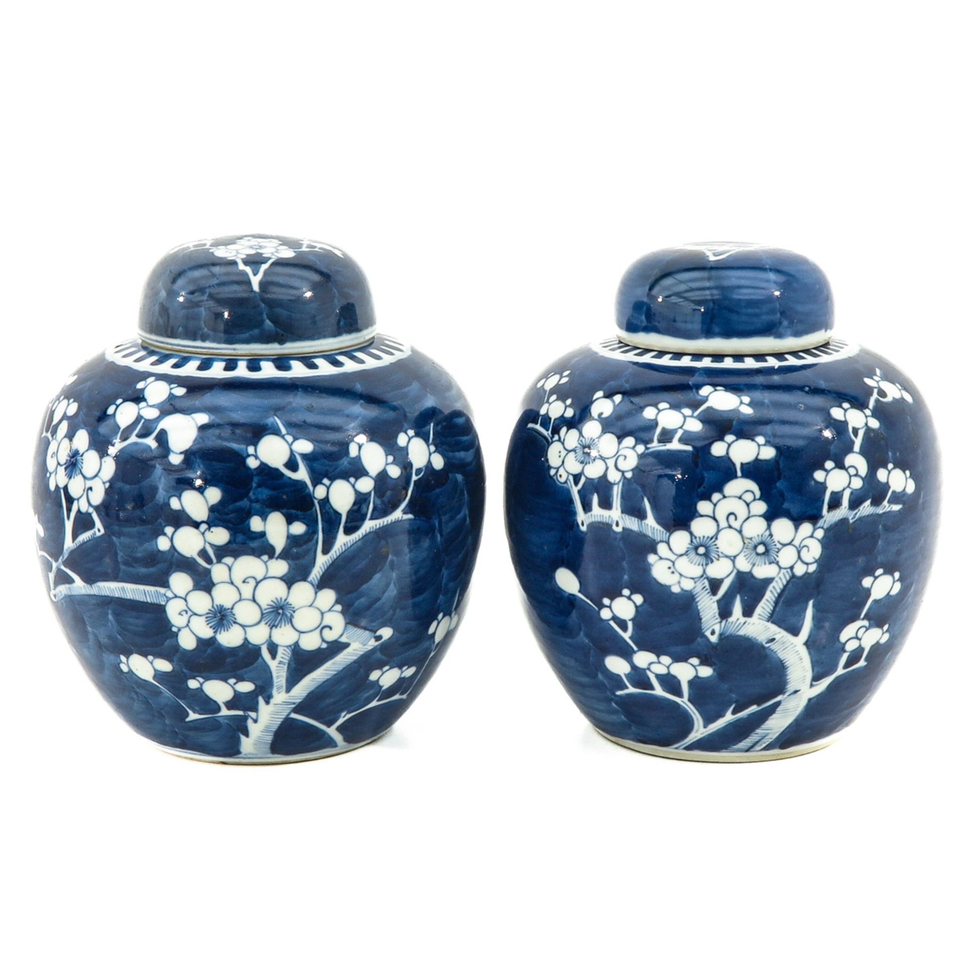 A Pair of Ginger Jars