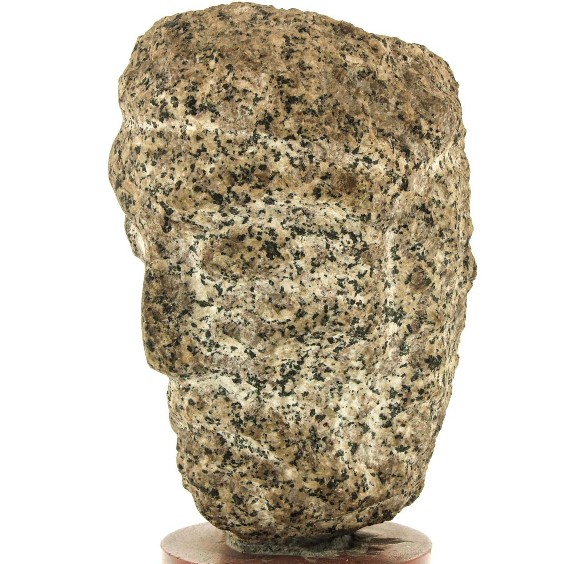 A Sculpture of a Roman Head - Image 8 of 8