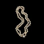  A pearl necklace