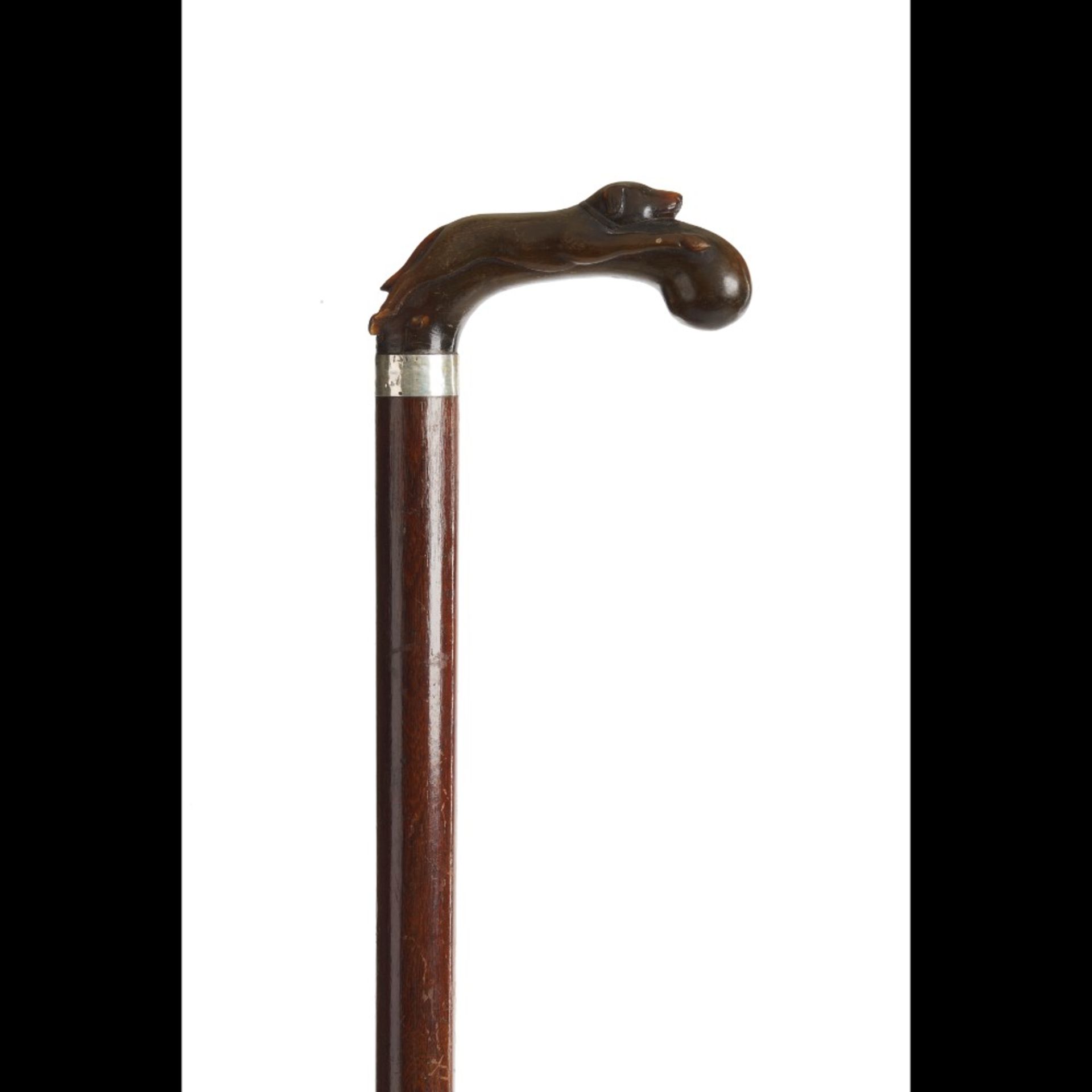  A walking stick