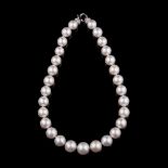  A pearl necklace