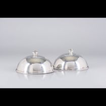 A set of two domes