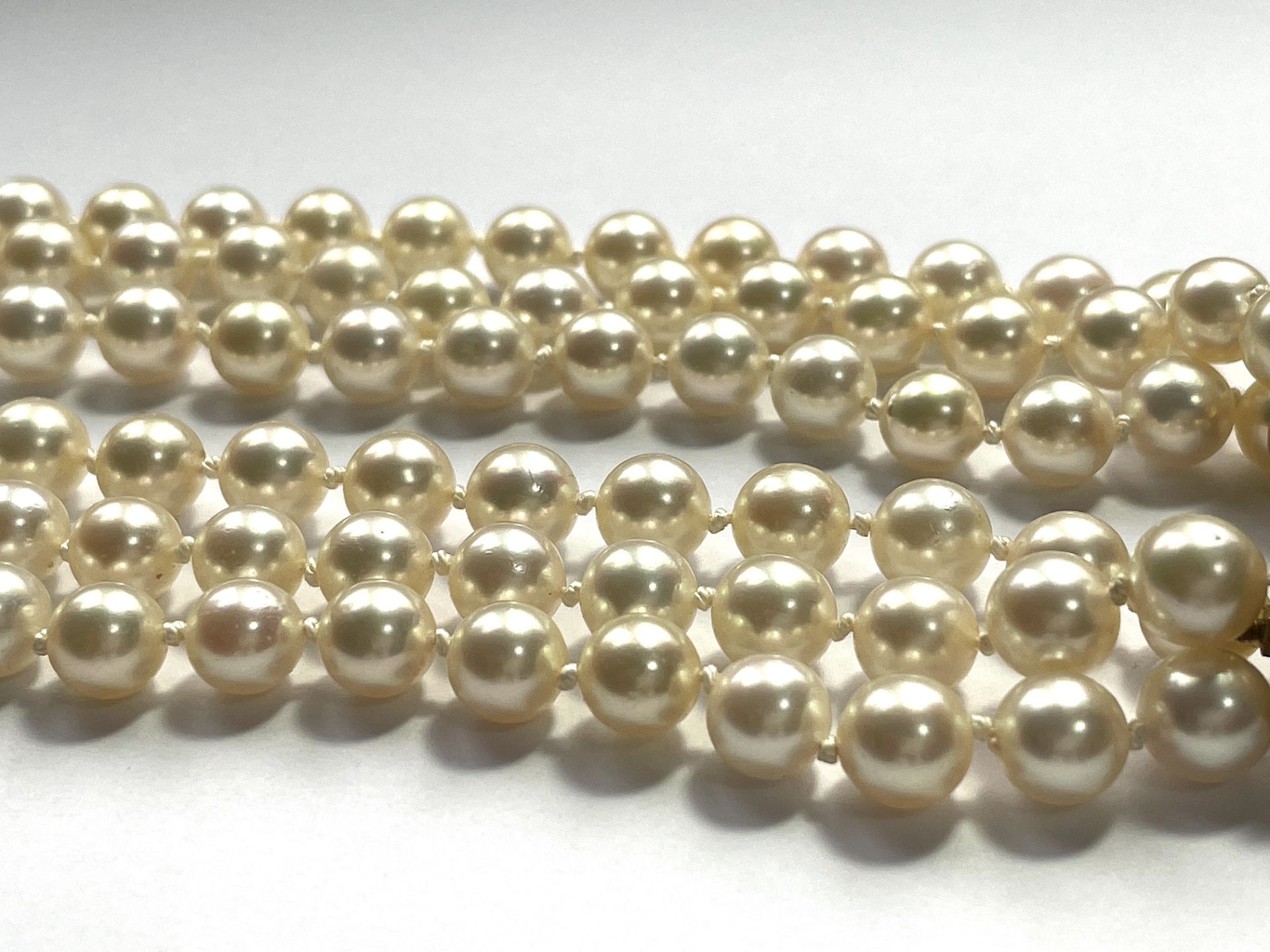 Akoya pearl necklace - Image 9 of 9