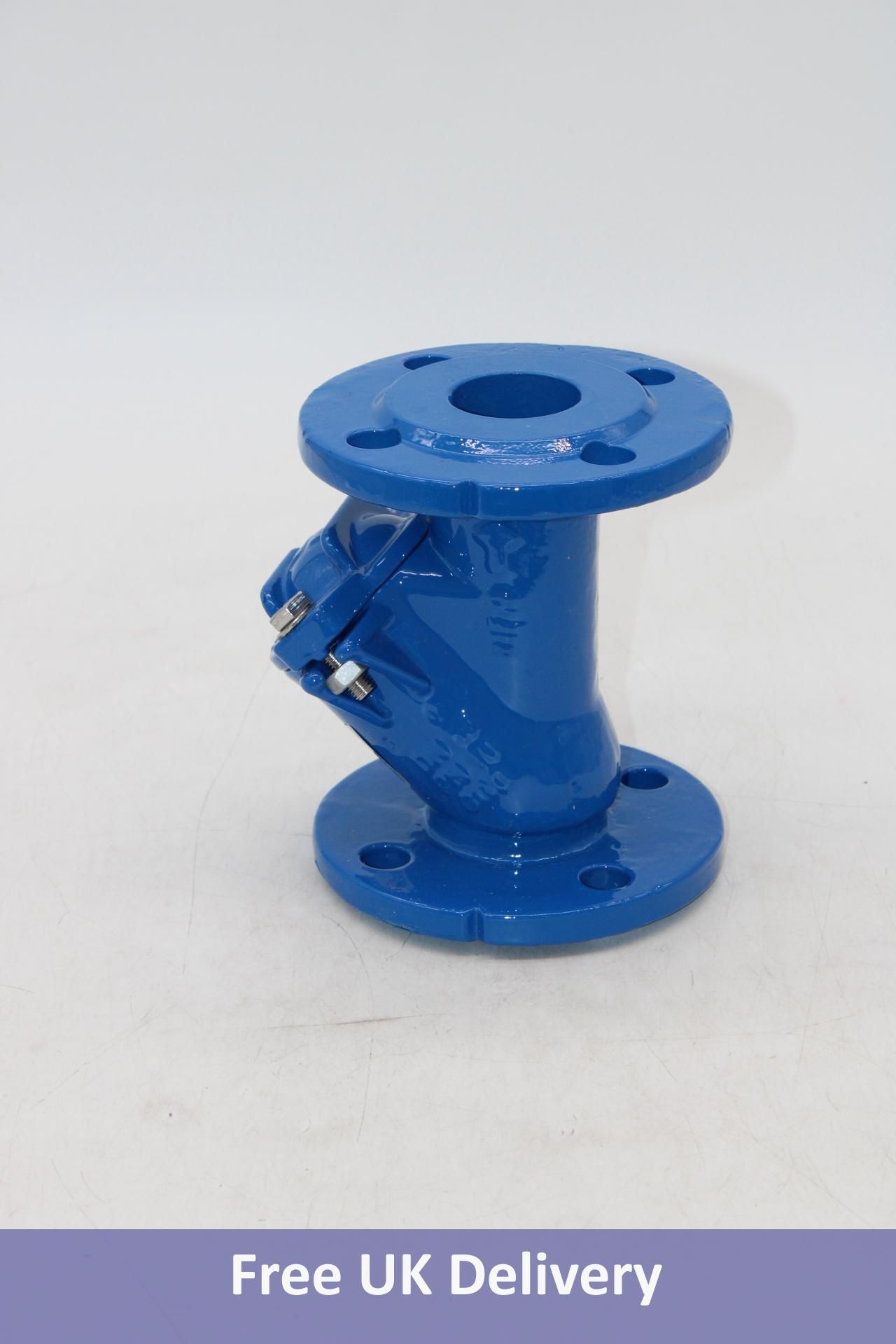 Ductile Iron Flanged Ball Check Valve, Blue
