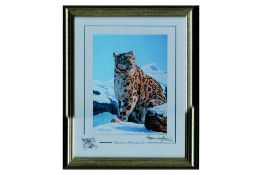 Mountain Splendour- 2010 Limited Edition Print of a Snow Leopard by Stephen Gayford