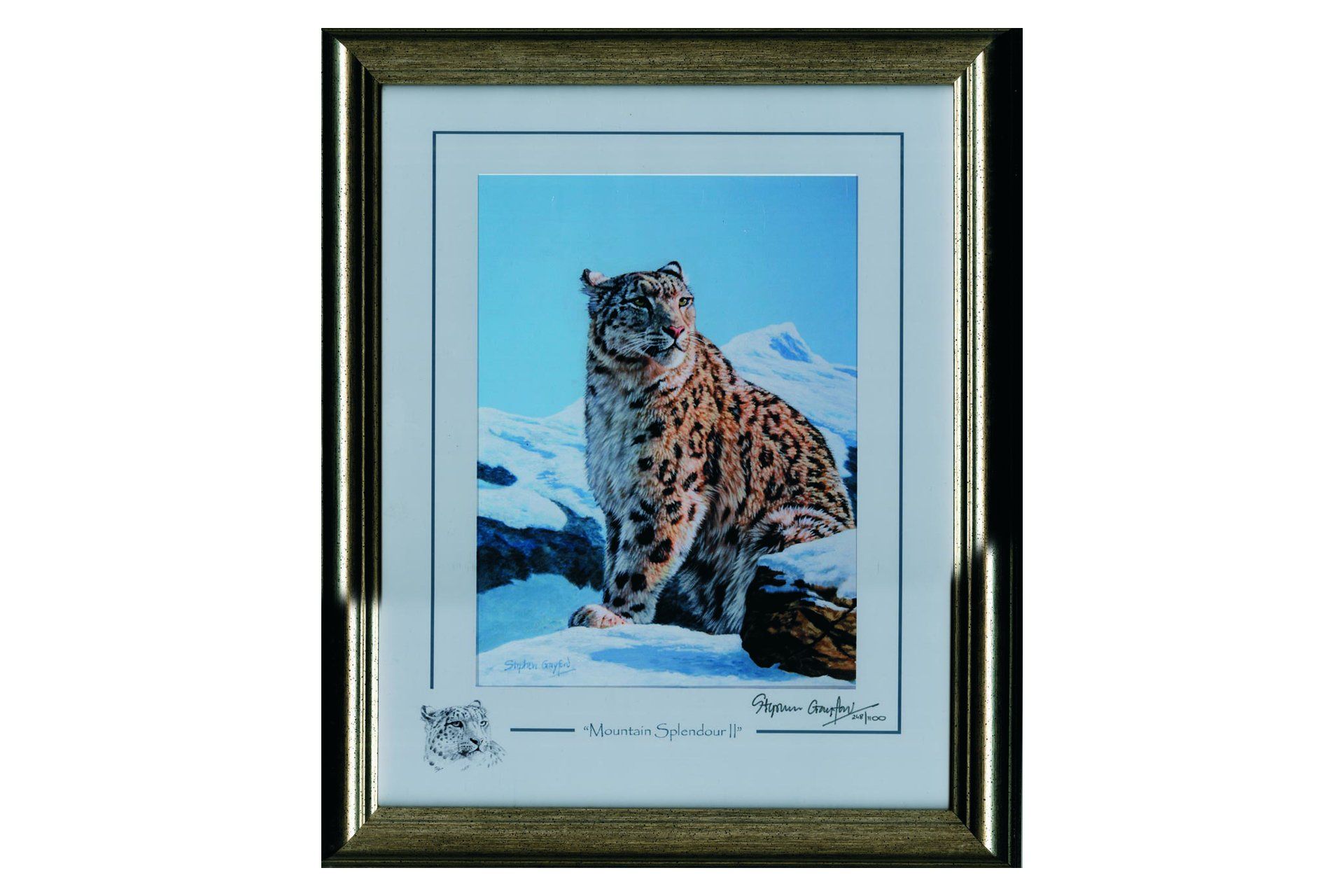 Mountain Splendour- 2010 Limited Edition Print of a Snow Leopard by Stephen Gayford