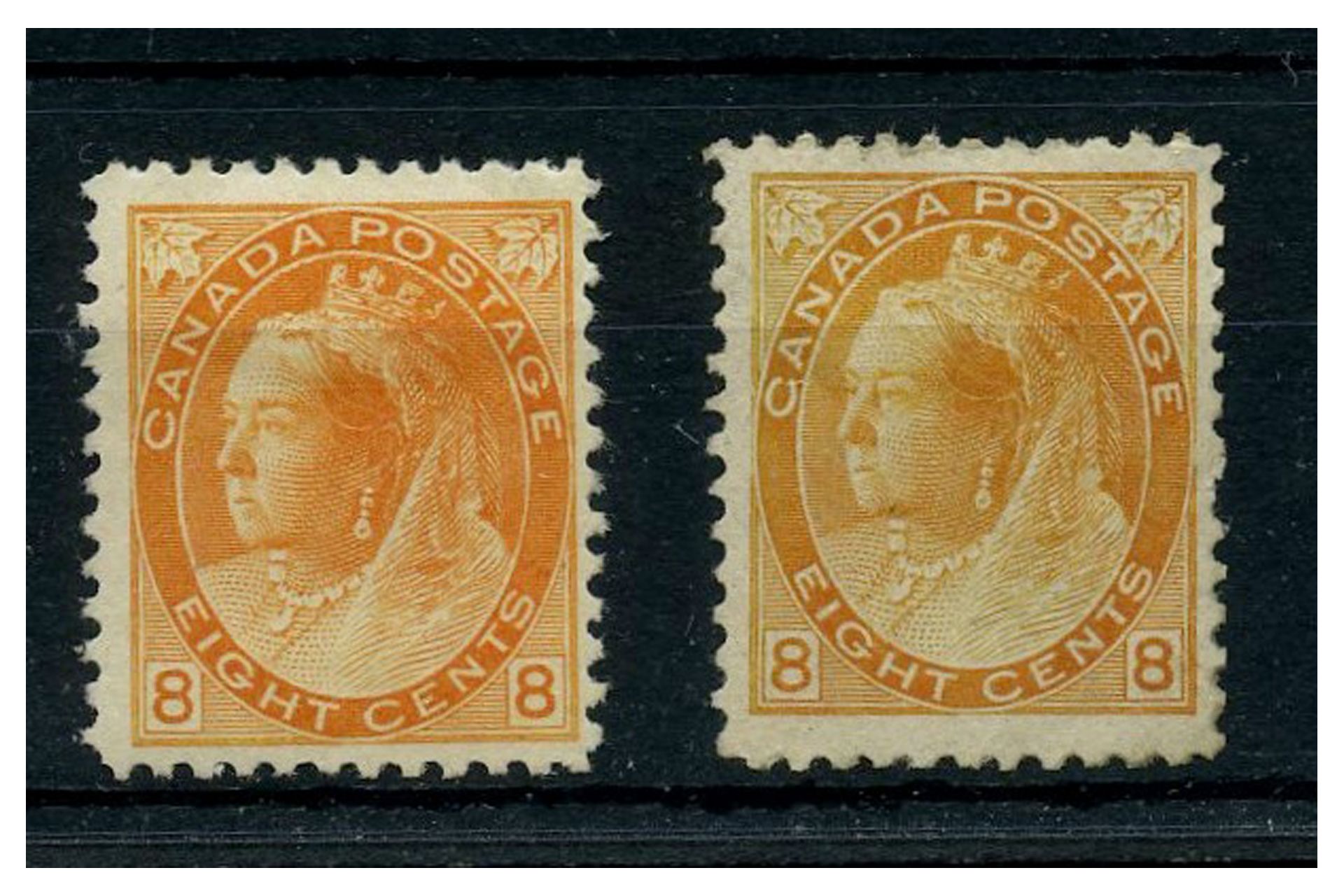 Canada 1898-1902 8c Both shades, fine mtd mint, the latter with patchy gum, nice pair. SG161-62