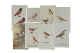 50 Caperns Bird Food Postcards in album
