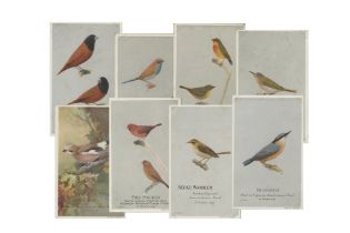 50 Caperns Bird Food Postcards in album