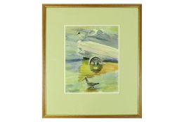Robert Greenhalf Redshank & Terns watercolour