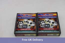 Ten Walker Fuel System Repair Kits for Fuel Injection