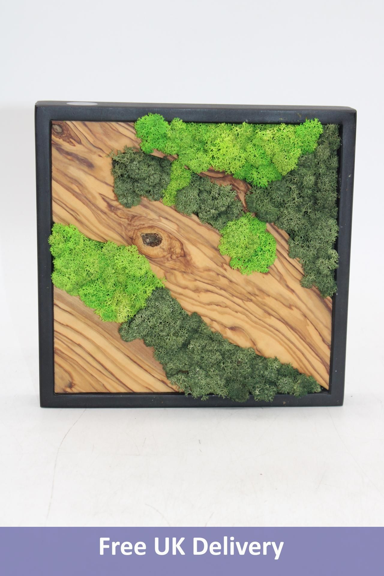 Blacksea Resin Works, 20 x 20cm Moss Wood Piece