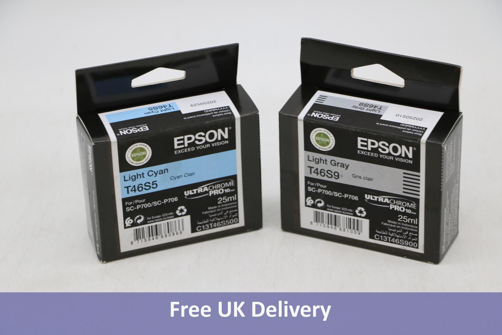 Two Epson UltraChrome Pro 10 Ink 1x Light Cyan T46S5 and 1x Light Grey T46S9, Both 25ml