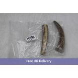 Eight Ace Antlers Naturally Shed Deer Antlers for Dogs, 2x Small Pieces