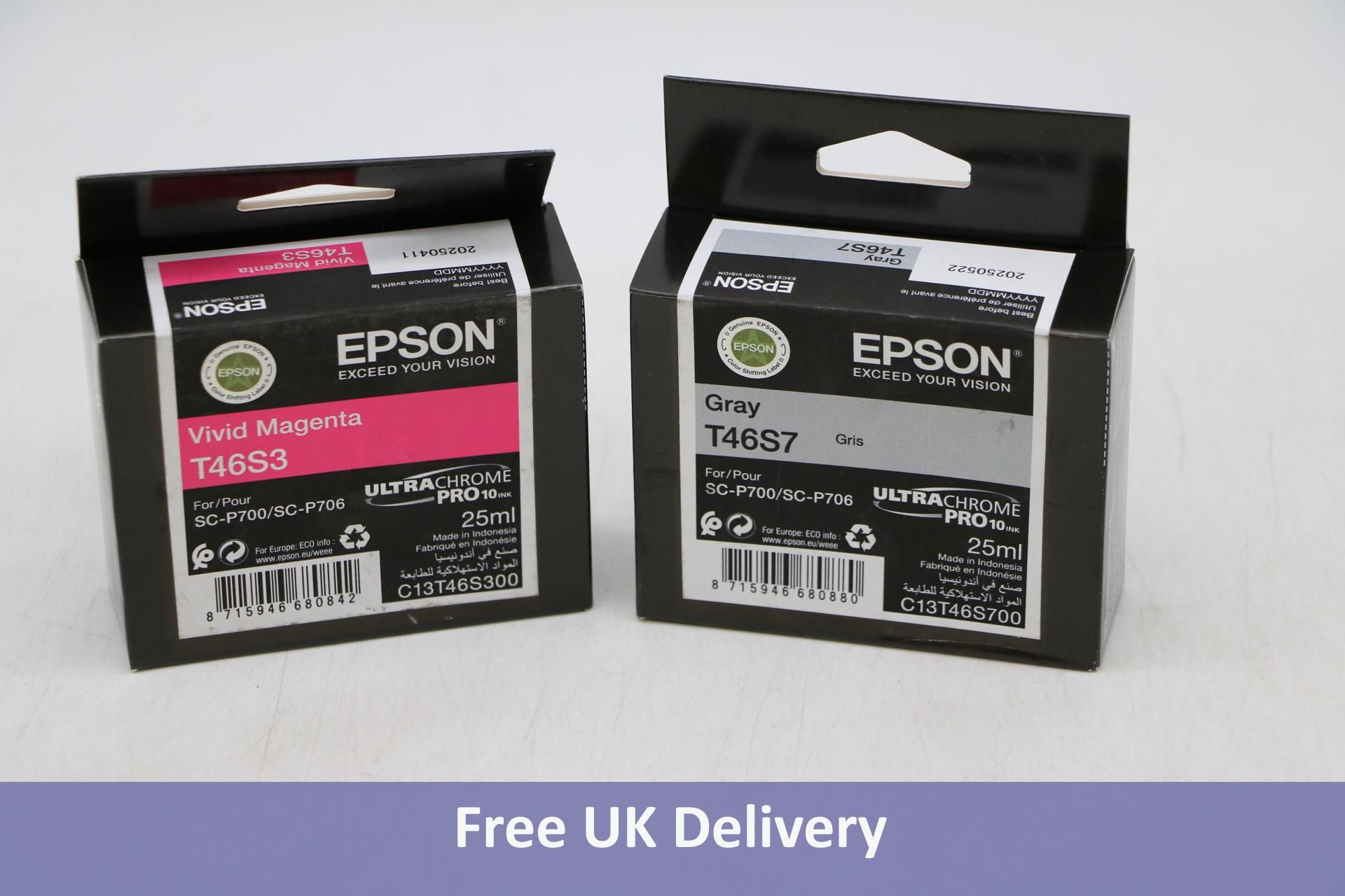 Two Epson UltraChrome Pro 10 Ink 1x Vivid Magenta T46S3 and 1x Grey T46S7, Both 25ml