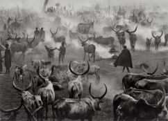 Sebastião  Salgado. „Sud Soudan“, Dinka Cattle Camp of Amak. 2006