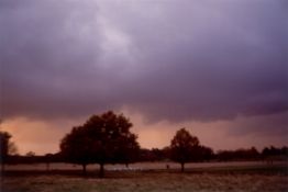 Nan Goldin. „Stephen & Ulla in Richmond Park, London“. 2002