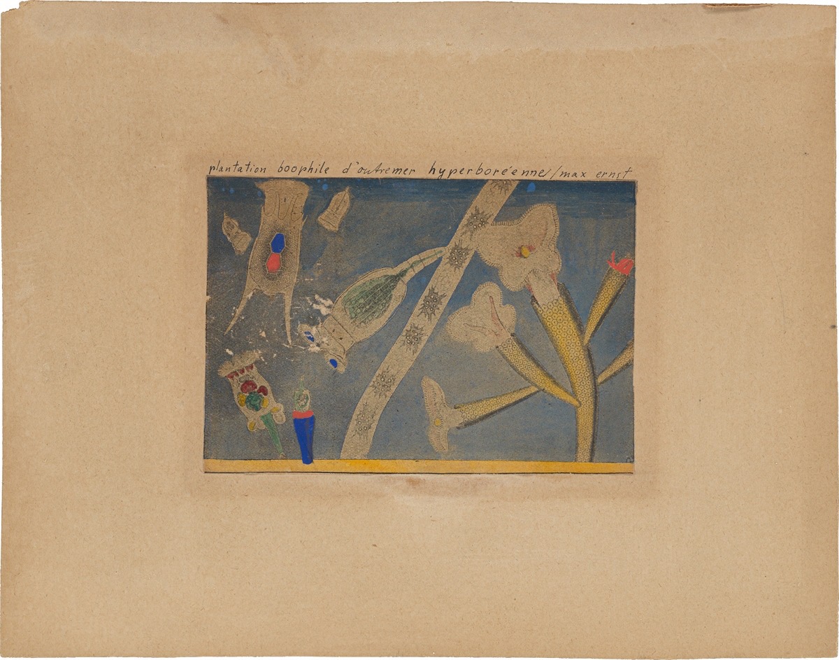 Max Ernst. ”Plantation boophile d'outremer hyperboréenne”. 1921