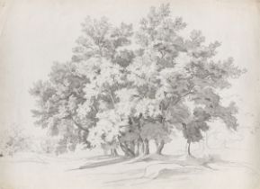 Johann Jakob Frey. Italienische Baumgruppe. Um 1840