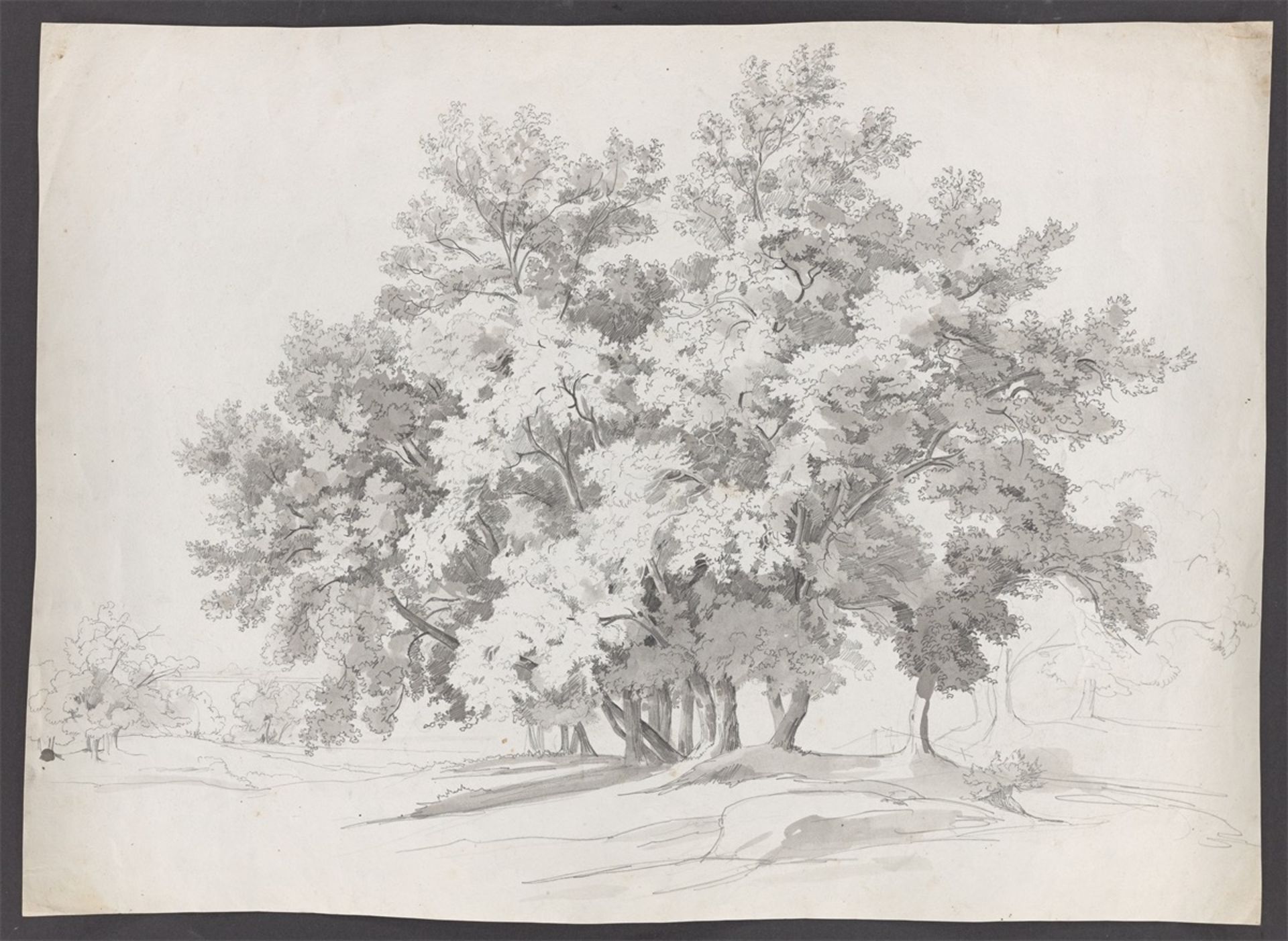 Johann Jakob Frey. Italian group of trees. Circa 1840 - Image 2 of 2