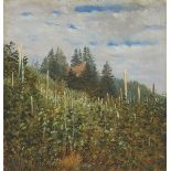 Carl Gustav Carus. Sunny vineyard in Pillnitz. Circa 1830/40