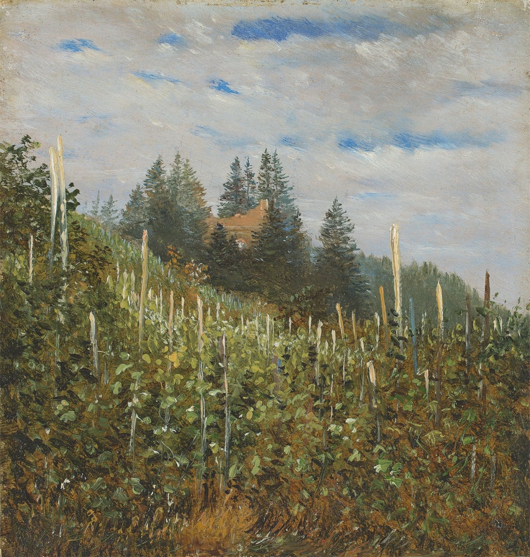 Carl Gustav Carus. Sunny vineyard in Pillnitz. Circa 1830/40