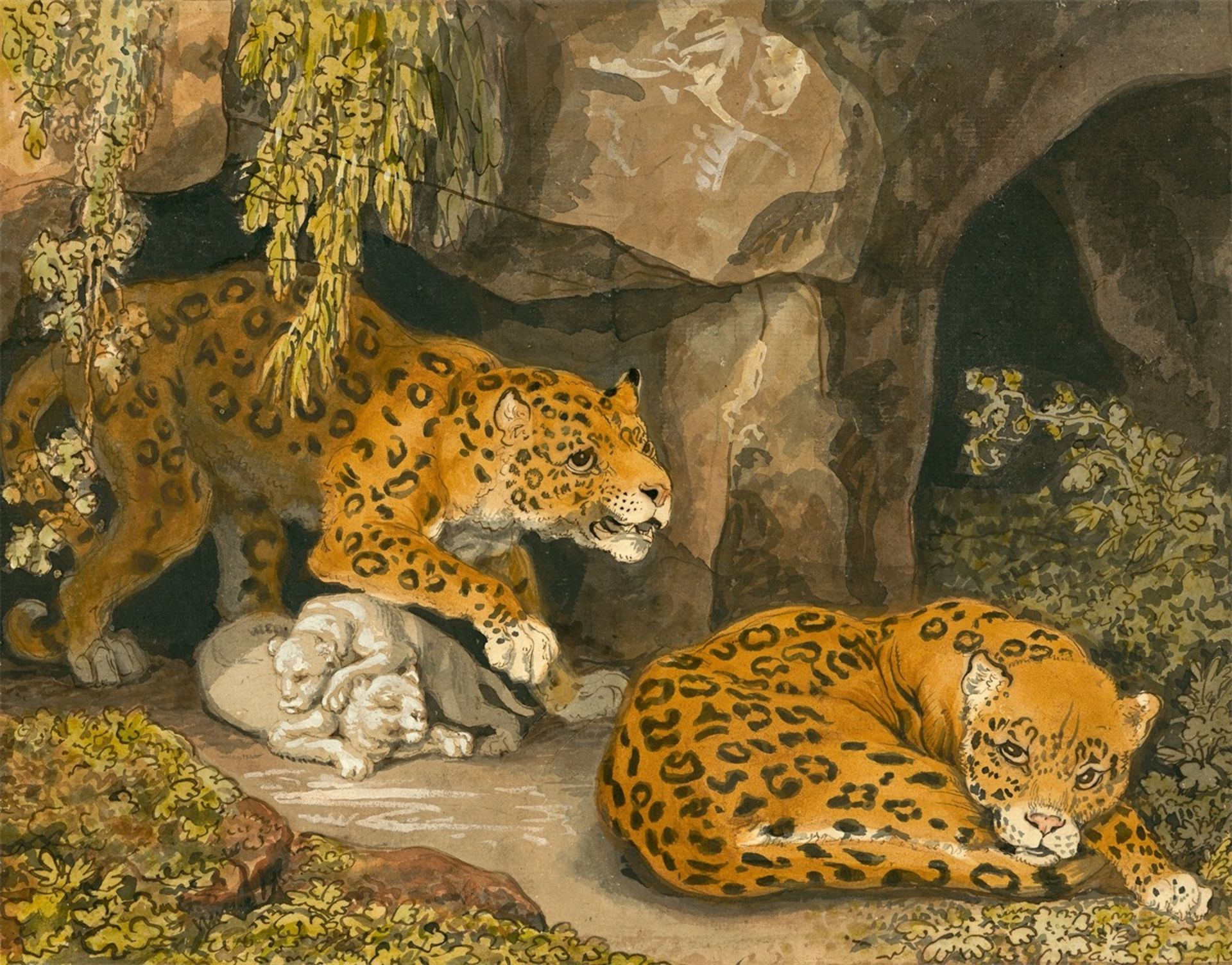 Johann Heinrich Wilhelm Tischbein. A leopard and a leopardess with two cubs at the e…. Circa 1810/20