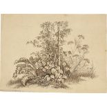August Grahl. Two studies of herbs. 1828