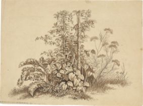August Grahl. Zwei Kräuterblätter. 1828