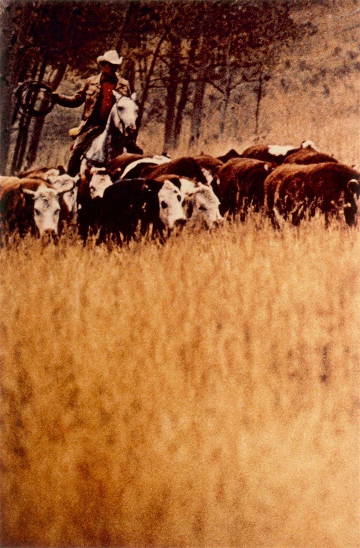 Richard Prince. Untitled (Cowboy), aus der Mappe „Cowboys and Girlfriends“. 1993