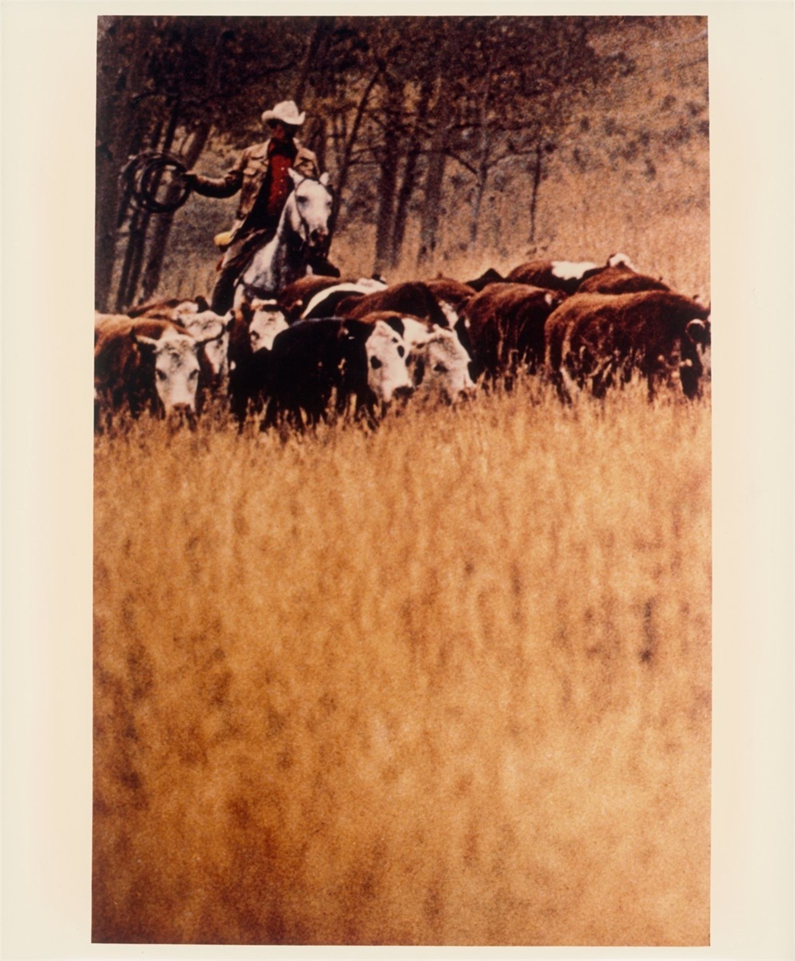 Richard Prince. Untitled (Cowboy), aus der Mappe „Cowboys and Girlfriends“. 1993 - Bild 2 aus 2