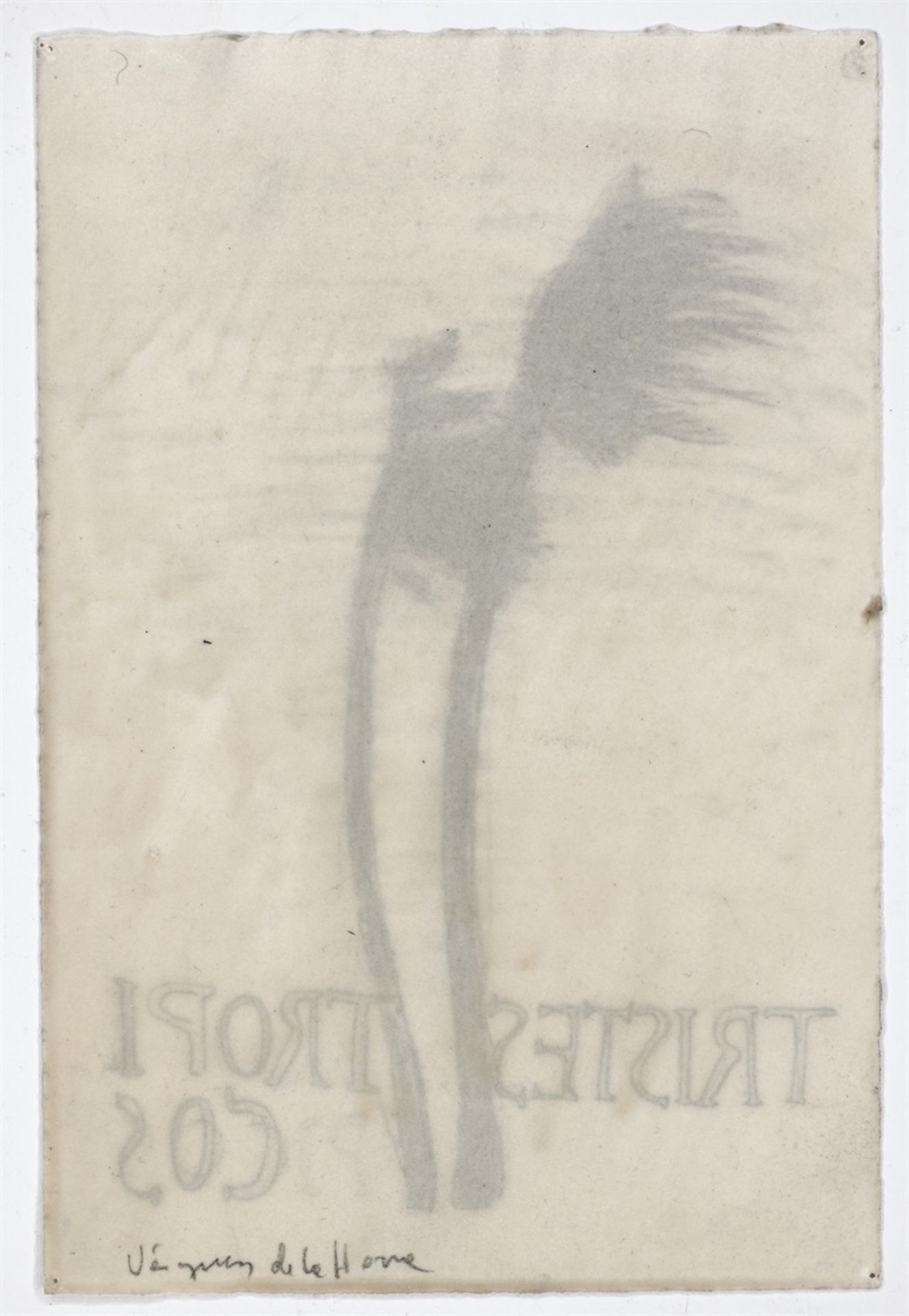 Sandra Vásquez de la Horra. „TRISTES TROPICOS“. 2008 - Bild 3 aus 4