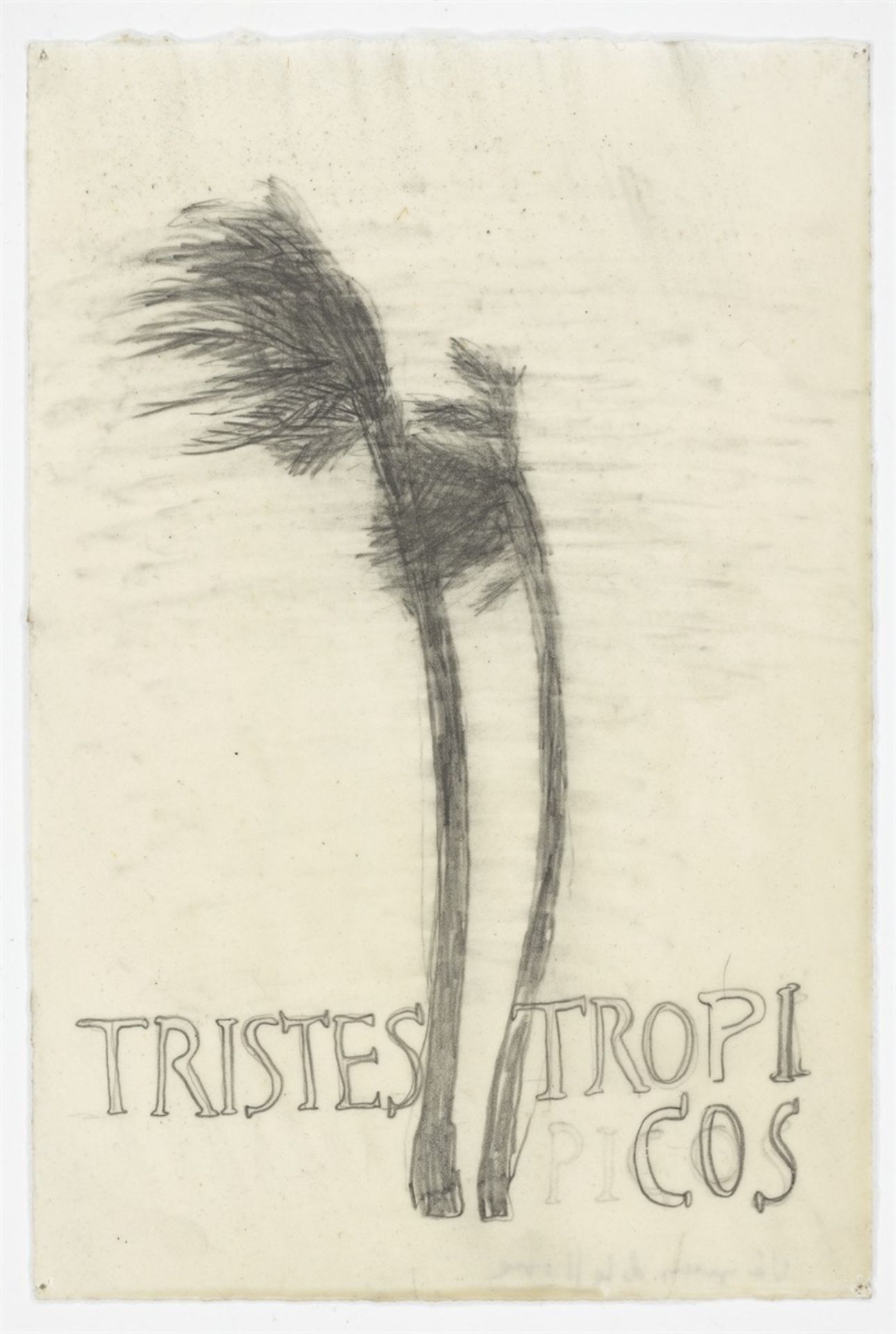 Sandra Vásquez de la Horra. „TRISTES TROPICOS“. 2008 - Bild 2 aus 4