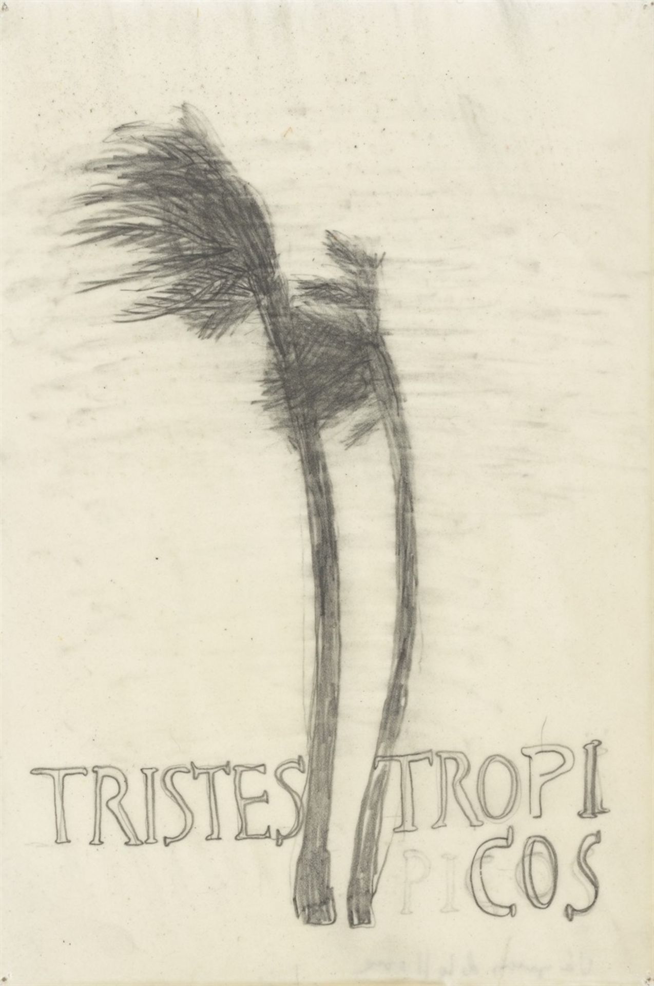 Sandra Vásquez de la Horra. „TRISTES TROPICOS“. 2008