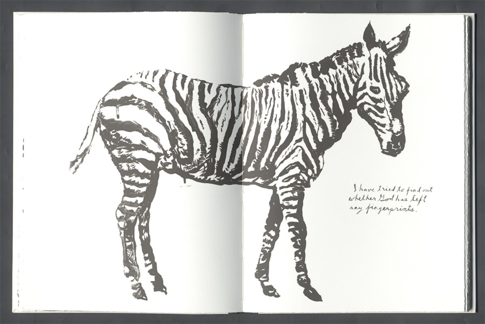 Raymond Pettibon. „Plots on loan“. 2001 - Bild 3 aus 11