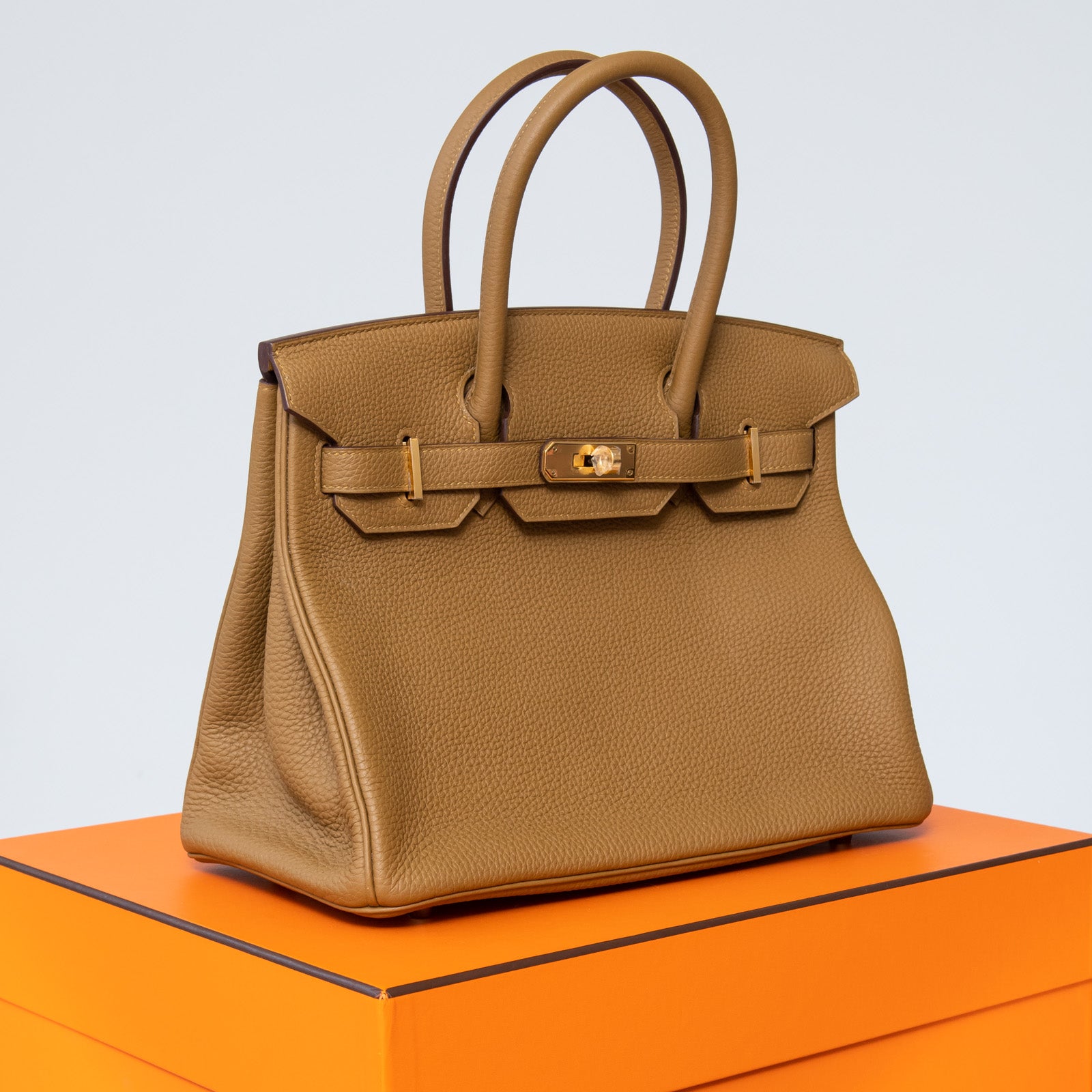 Hermes Bronze Dore Birkin 30 Bag