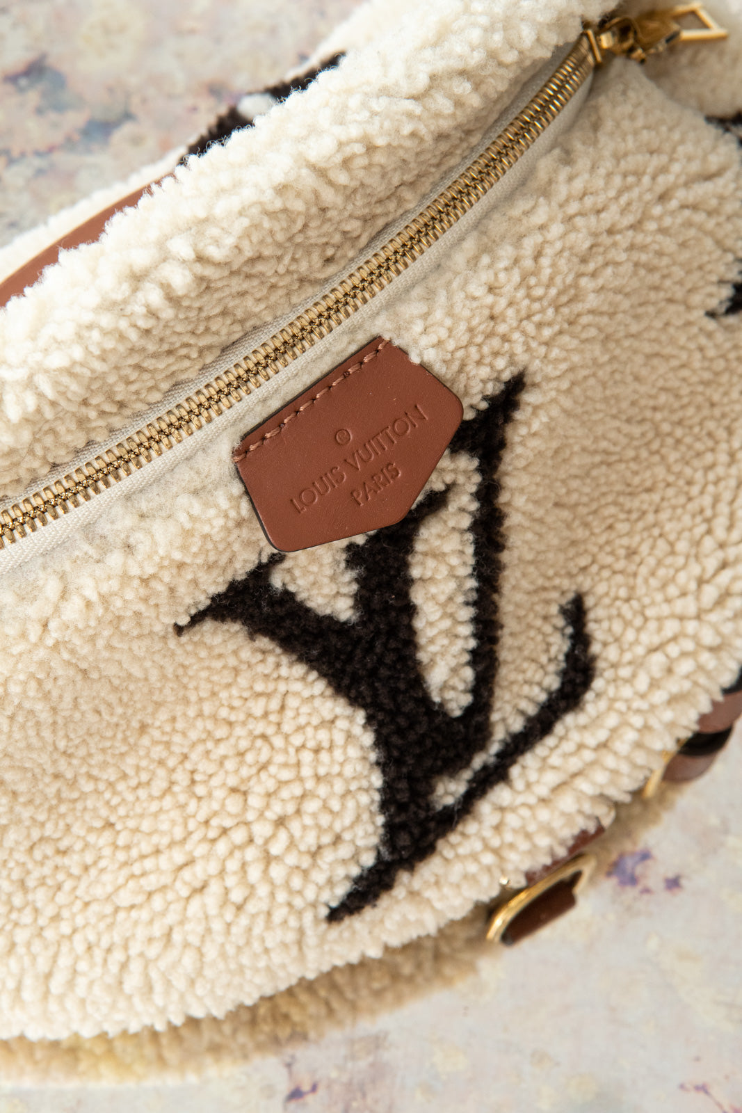 Louis Vuitton Teddy Fleece Bumbag - Image 4 of 11