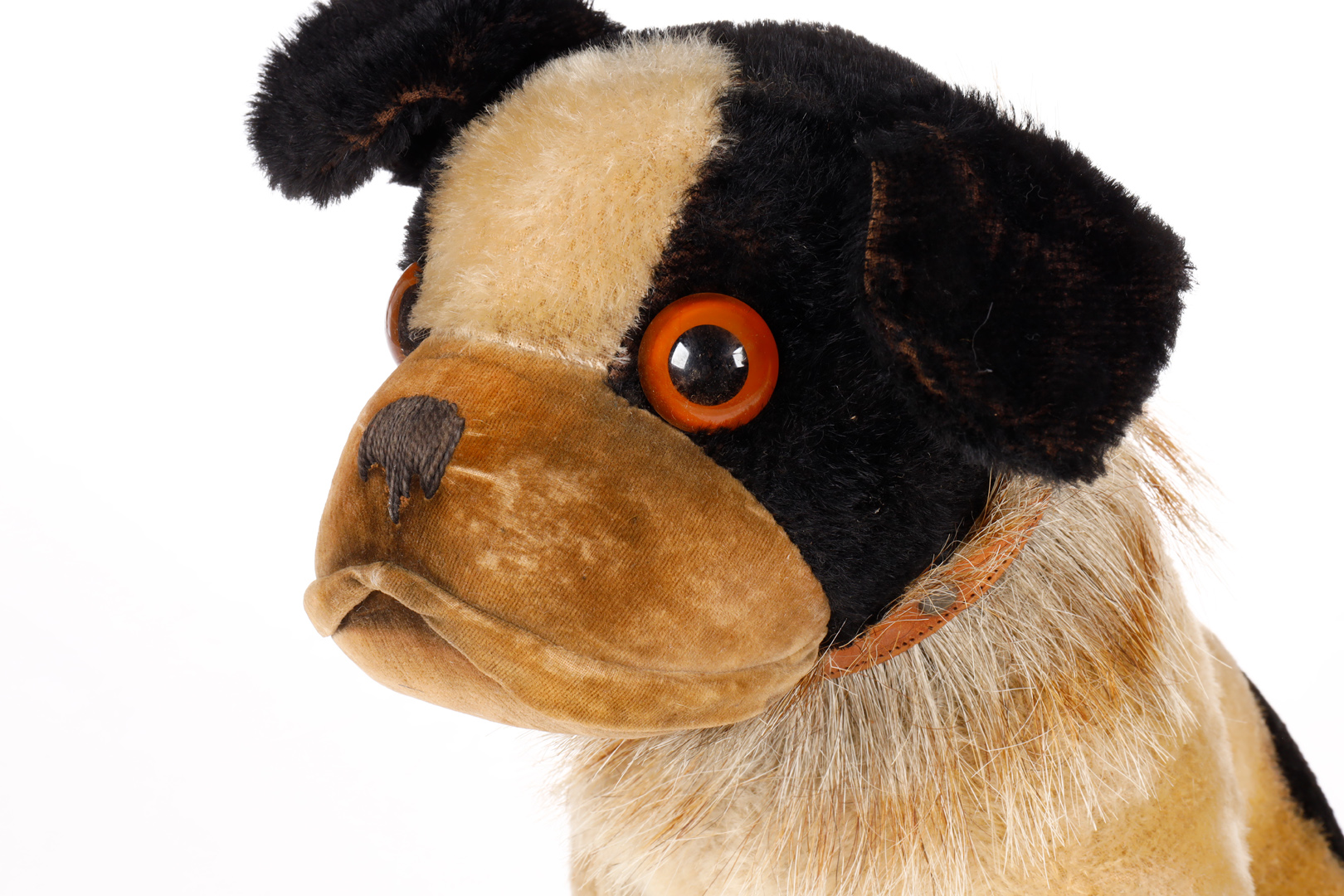 Steiff franz. Bulldogge, 20er Jahre, schwarz/creme, mit Knopf, Halsband (besetzt mit Steiff-Knöpfen) - Image 3 of 3