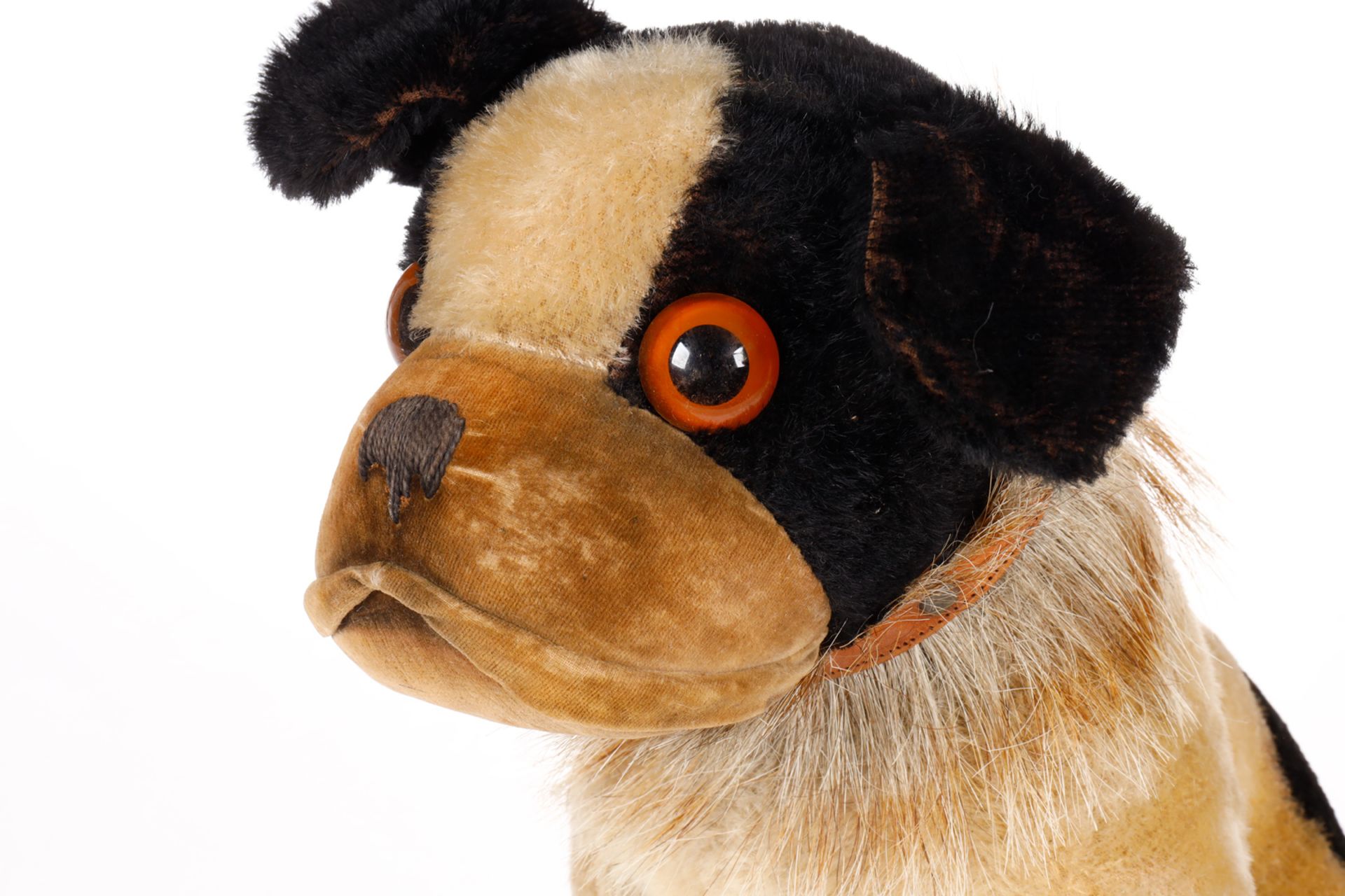 Steiff franz. Bulldogge, 20er Jahre, schwarz/creme, mit Knopf, Halsband (besetzt mit Steiff-Knöpfen) - Bild 3 aus 3