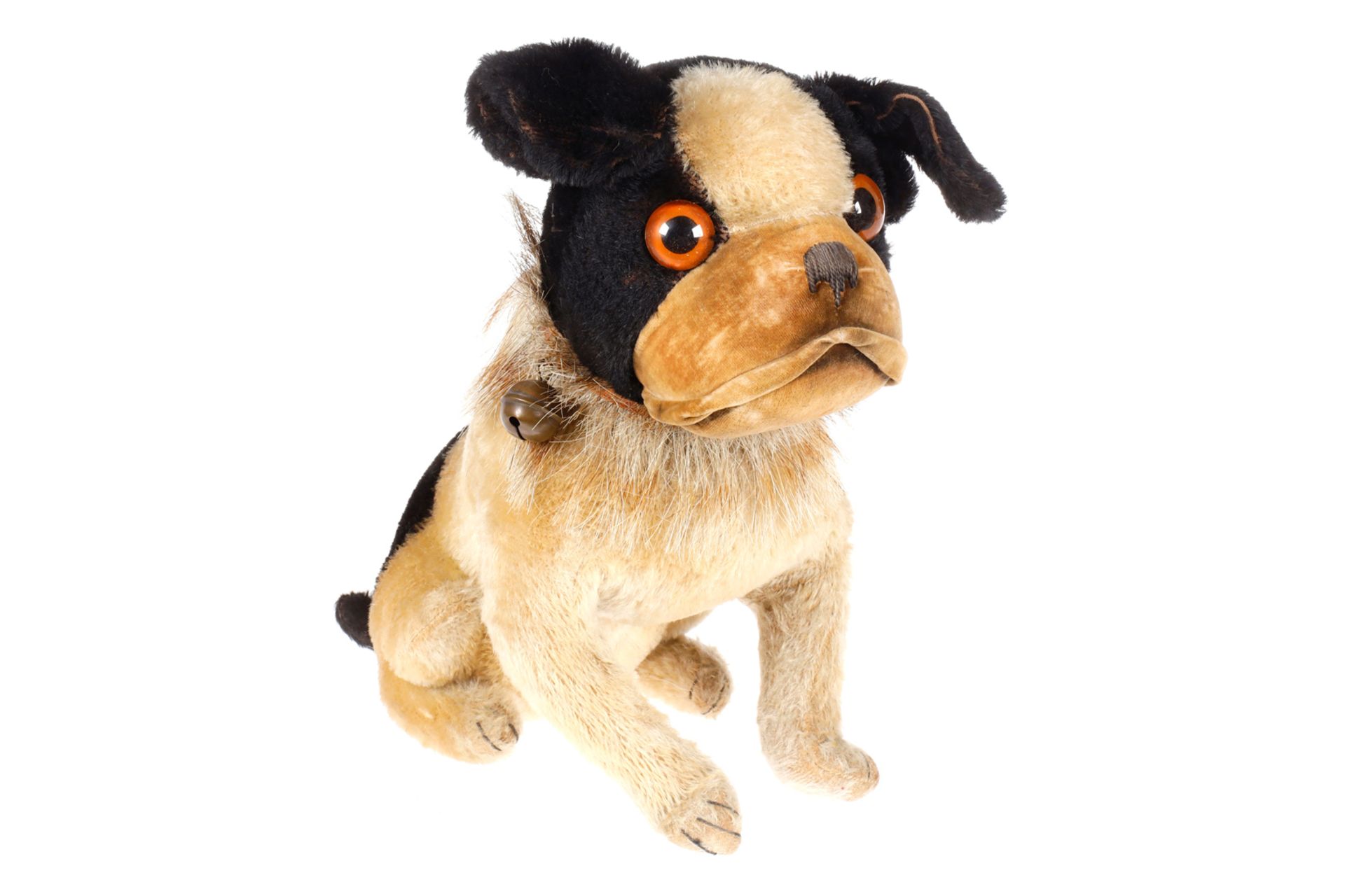 Steiff franz. Bulldogge, 20er Jahre, schwarz/creme, mit Knopf, Halsband (besetzt mit Steiff-Knöpfen)