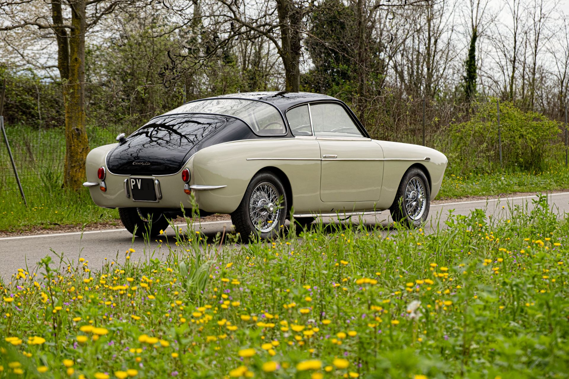 1954 CISITALIA 33DF VOLO RADENTE - Bild 3 aus 6