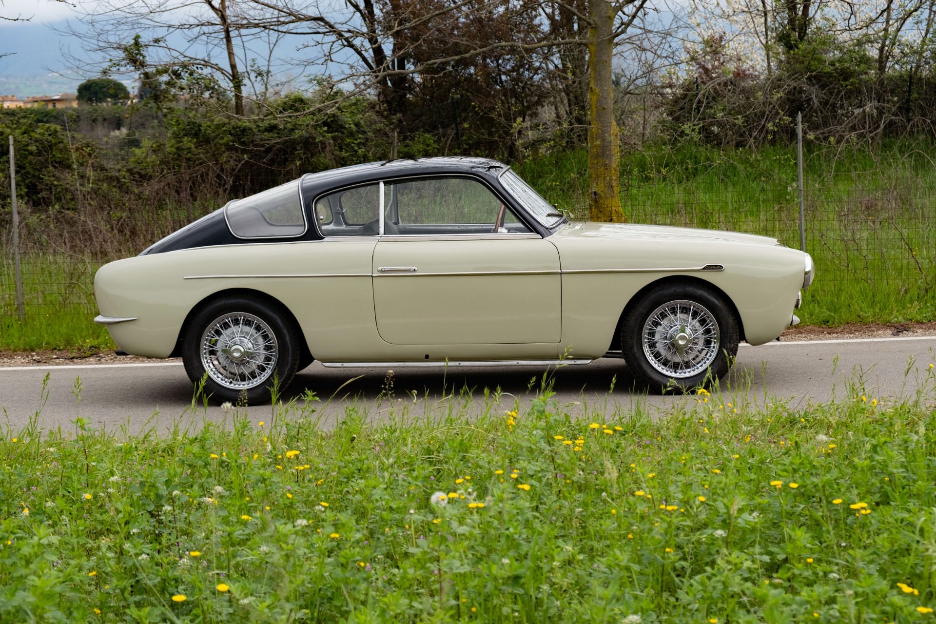 1954 CISITALIA 33DF VOLO RADENTE - Bild 6 aus 6