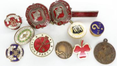 Collection of enamelled pin badges, including The Labour Party, Medical Council of Southern