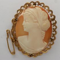 9ct gold mounted shell cameo brooch with safety chain, H: 35 mm, 5.2g. UK P&P Group 0 (£6+VAT for