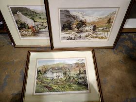 Three Judy Boyes artist signed limited edition prints. Not available for in-house P&P
