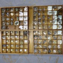 Large collection of fossils, minerals and rock formations, drawer cabinet measures 37 x 61 x 42 H.