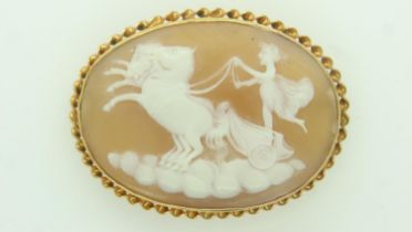 Large shell cameo in a 9ct gold setting, D: 50mm, 10.0g. UK P&P Group 0 (£6+VAT for the first lot