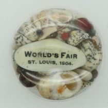 Circular composition seashell paperweight for St Louis World Fair 1904. UK P&P Group 2 (£20+VAT