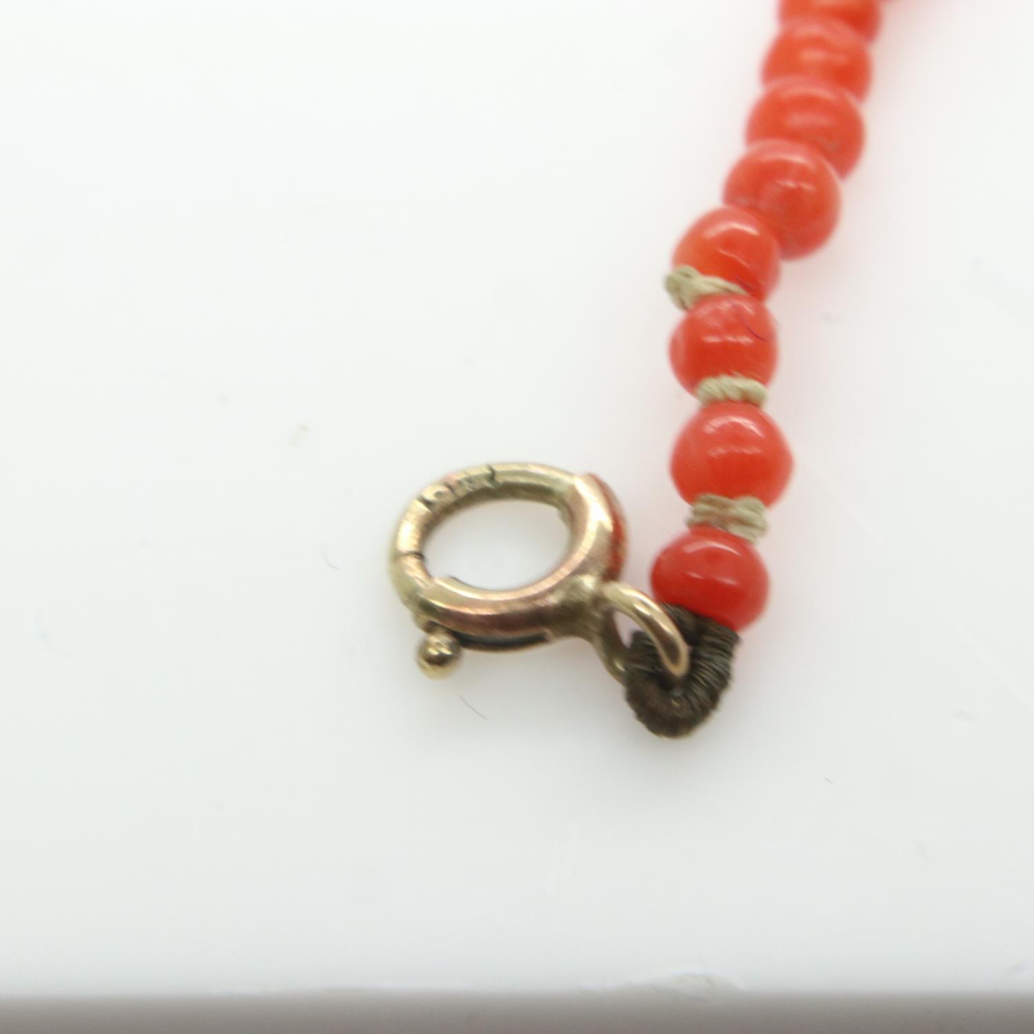 1920s 9ct gold clasp coral strand necklace, L: 40 cm. UK P&P Group 0 (£6+VAT for the first lot - Image 2 of 2