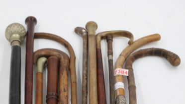 Twelve mixed walking sticks. UK P&P Group 3 (£30+VAT for the first lot and £8+VAT for subsequent